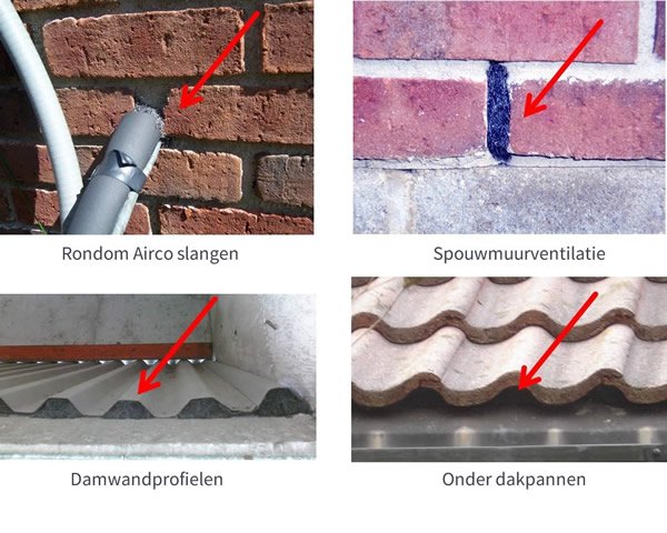 Voorbeelden van staalwol tegen muizen en ratten